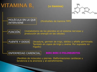 (o tiamina)
MOLÉCULA EN LA QUE
INTERVIENE
FUNCIÓN
FUENTE Y DOSIS
ENFERMEDAD CARENCIAL
(Pirofosfato de tiamina TPP)
BERI BERI O POLINEURITIS
(metabolismo de los glúcidos en el sistema nervioso y
producción de energía en las células)
(levadura, germen de trigo, dátiles y alfalfa germinada.
También en copos de trigo y avena. Por supuesto en
hígado)
(Parálisis de músculos y piernes. Malformaciones cardiacas y
tendencia a la anorexia y al estreñimiento.
 