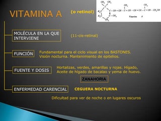 (o retinol)
MOLÉCULA EN LA QUE
INTERVIENE
FUNCIÓN
FUENTE Y DOSIS
ENFERMEDAD CARENCIAL
(11-cis-retinal)
CEGUERA NOCTURNA
Fundamental para el ciclo visual en los BASTONES.
Visión nocturna. Mantenimiento de epitelios.
Dificultad para ver de noche o en lugares oscuros
Hortalizas, verdes, amarillas y rojas. Hígado,
Aceite de hígado de bacalao y yema de huevo.
ZANAHORIA
 
