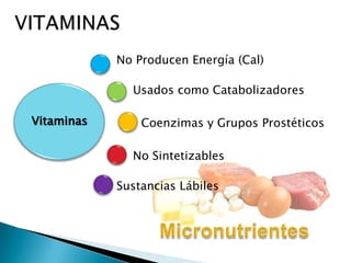 No Producen Energía (Cal)
Usados como Catabolizadores
Coenzimas y Grupos Prostéticos
No Sintetizables
Sustancias Lábiles
Vitaminas
 