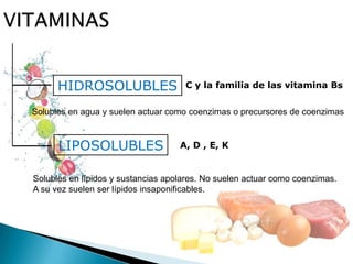 HIDROSOLUBLES
LIPOSOLUBLES
Solubles en agua y suelen actuar como coenzimas o precursores de coenzimas
Solubles en lípidos y sustancias apolares. No suelen actuar como coenzimas.
A su vez suelen ser lípidos insaponificables.
C y la familia de las vitamina Bs
A, D , E, K
 