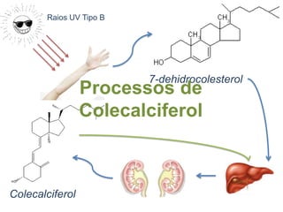 FontesEncontrada no leite, no fígado, em ovos, no amendoim, na levedura de cerveja, no trigo e na soja.DDRRecomenda-se de 400 a 900 mg.