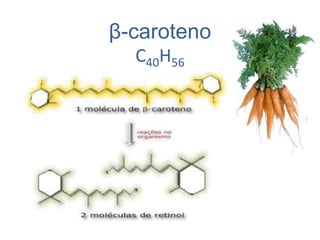 Vitamina B8