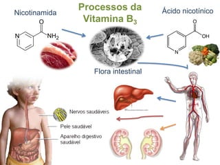 FontesEncontrada principalmente em pães integrais, no arroz integral, na lentilha, na gema de ovo, no fígado, no peixe, no germe de trigo, nas castanhas, na aveia, no milho, no grão de bico, nas nozes e nas leveduras de cerveja.