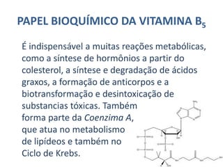 Grupo flavinaGrupo ribitilo