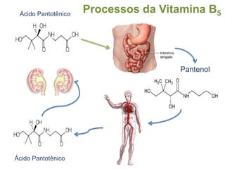 Deficiência de vitamina B2Pode causar distúrbios no crescimento, estomatite angular, glossite, vascularização corneal, dissebacia e anemia.