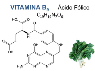 Vitamina B5Ácido PantotêticoC9H17NO5