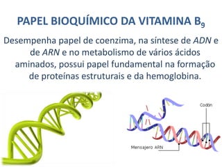 Processos da Vitamina B5Ácido PantotênicoPantenolÁcido Pantotênico