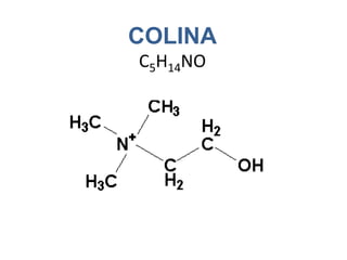Excesso de vitamina B8O excesso de biotina pode provocar diarréia.