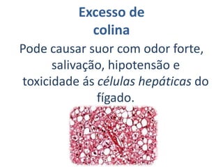 Papel bioquímico da vitamina B8Atua como coenzima de enzimas que transferem grupos carboxila e funciona como carreador de CO2. Também está envolvida em reações metabólicas como a gliconeogênese, a síntese de ácidos graxos de cadeia insaturada e a oxidação de ácidos graxos. Além disso, é necessária para o crescimento e o bom funcionamento da pele e órgãos, assim como para o desenvolvimento das glândulas sexuais.