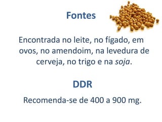 BiotinaProcesso Sódio-IndependenteCoenzima BiocitinaProcessos da Biotina