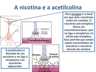 Deficiência de vitamina B9Pode causar anemia, problemas digestivos e neurológicos. Na deficiência aguda pode haver perda de apetite, dores abdominais, enjôos e diarréia.