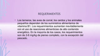 REQUERIMIENTOS
• Los terneros, las aves de corral, los cerdos y los animales
pequeños dependen de los suministros alimentarios de
vitamina B1. Los requerimientos aumentan inevitablemente
con el uso de reacciones alimenticias de alto contenido
energético. En la mayoría de los casos, los requerimientos
son de 2-6 mg/kg de pienso completo, con la excepción del
pescado.
 