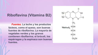 Riboflavina (Vitamina B2)
Fuentes. La leche y los productos
lácteos, como el queso, son buenas
fuentes de riboflavina. La mayoría de
vegetales verdes y los granos
contienen riboflavina; el brócoli, los
espárragos y la espinaca son buenas
fuentes.
 