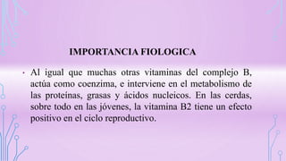 IMPORTANCIA FIOLOGICA
• Al igual que muchas otras vitaminas del complejo B,
actúa como coenzima, e interviene en el metabolismo de
las proteínas, grasas y ácidos nucleicos. En las cerdas,
sobre todo en las jóvenes, la vitamina B2 tiene un efecto
positivo en el ciclo reproductivo.
 