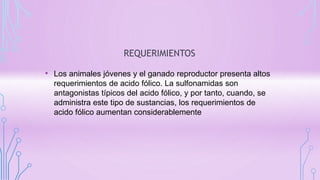 REQUERIMIENTOS
• Los animales jóvenes y el ganado reproductor presenta altos
requerimientos de acido fólico. La sulfonamidas son
antagonistas típicos del acido fólico, y por tanto, cuando, se
administra este tipo de sustancias, los requerimientos de
acido fólico aumentan considerablemente
 