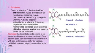 • Funciones
Como la vitamina C, la vitamina E en
antioxidante. Ayuda a estabilizar las
membranas celulares, regula
reacciones de oxidación, y protege la
vitamina A. En su papel de
antioxidante, la vitamina E tiene su
papel mas importante en las
membranas celulares igual que el los
glóbulos blancos y rojos que pasan a
través de los pulmones.
Toxicidad: La toxicidad puede ocurrir si se
toman suplementos en gran cantidad. Pero
esto no pasa con facilidad en las vitaminas A
y D. Los síntomas son dolor de cabeza,
debilidad, mareos, fatiga, y anomalías en la
vista.
 