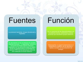 Fuentes

Función

La producen bacterias, hongos (levaduras) y
vegetales.

Es un coenzima de las descarboxilasas (en
la oxidación de los -cetoácidos) y de las
enzimas que transfieren grupos aldehído.

Es abundante en las envolturas de cereales
(cáscara de arroz,...) y legumbres, donde se
encuentra de forma inactiva (tiamina).
Ingresada con los alimentos pasa al hígado,
donde es transformada en pirofosfato de
tiamina (TPP) (forma activa) por unión de
dos moléculas de ácido fosfórico.

Desempeñan un papel fundamental en el
metabolismo oxidativo de los glúcidos y
lípidos, es decir, en la producción de
energía.

 