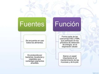 Fuentes

Función

Se encuentra en casi
todos los alimentos.

Forma parte de las
coenzimas FAD y FMN,
que participan en los
procesos de obtención
de energía, en la
respiración celular.

Es producida por
bacterias, levaduras y
vegetales que
contengan pigmentos
amarillos.

Ejerce un papel
importante en el
mantenimiento de las
mucosas y de la piel.

 