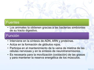 Fuentes
• Los animales la obtienen gracias a las bacterias simbiontes
de su tracto digestivo.

Función
• Interviene en la síntesis de ADN, ARN y proteínas.
• Actúa en la formación de glóbulos rojos.
• Participa en el mantenimiento de la vaina de mielina de las
células nerviosas y en la síntesis de neurotransmisores.
• Es necesaria para la movilización (oxidación) de las grasas
y para mantener la reserva energética de los músculos.

 
