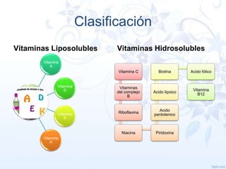 Clasificación
Vitaminas Liposolubles

Vitaminas Hidrosolubles

Vitamina
A

Vitamina C

Biotina

Acido fólico

Vitamina
D

Vitaminas
del complejo
B

Acido lipoico

Vitamina
B12

Vitamina
E

Riboflavina

Acido
pantotenico

Niacina

Piridoxina

Vitamina
K

 