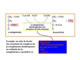 α-cetoglutarato Succinil-CoA
Exemplo: no ciclo de Krebs
são coenzimas do complexo da
α-cetoglutarato desidrogenase
na oxidação do α-
cetoglutarato a succinil-CoA
α-cetoglutarato
desidrogenase (um
complexo de três enzimas)
Cofactores:Cofactores:
- TPP (tiamina pirofosfato,- TPP (tiamina pirofosfato,
derivado da vit. B1)derivado da vit. B1)
-FAD-FAD
- Lipoato- Lipoato
 