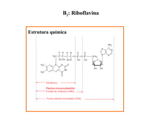 B2: Riboflavina
Estrutura química
Flavina mononucleotídio
 