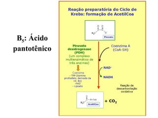 B5: Ácido
pantotênico
 