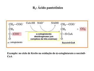 B5: Ácido pantotênico
Succinil-CoA
Exemplo: no ciclo de Krebs na oxidação do α-cetoglutarato a succinil-
CoA
α-cetoglutarato
desidrogenase (um
complexo de três enzimas)
 