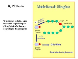 B6: Piridoxina
O piridoxal fosfato é uma
coenzima requerida pela
glicogênio fosforilase na
degradação do glicogênio
 
