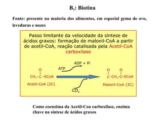B7: Biotina
Passo limitante da velocidade da síntese de
ácidos graxos: formação de malonil-CoA a partir
de acetil-CoA, reação catalisada pela Acetil-CoA
carboxilase
O
ll
CCH3- -SCoA
Acetil-CoA (2C)
O
ll
C-CH2-C
O
ll
-SCoA
Malonil-CoA (3C)
ATP
ADP + Pi
CO2
Como coenzima da Acetil-Coa carboxilase, enzima
chave na síntese de ácidos graxos
Fonte: presente na maioria dos alimentos, em especial gema de ovo,
leveduras e nozes
 