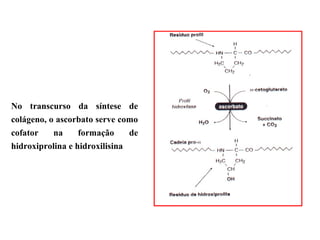 No transcurso da síntese de
colágeno, o ascorbato serve como
cofator na formação de
hidroxiprolina e hidroxilisina
 