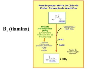 B1 (tiamina)
 
