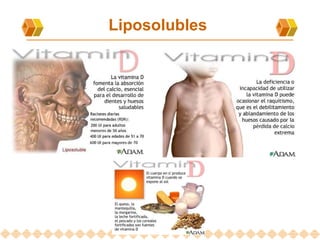 Liposolubles  