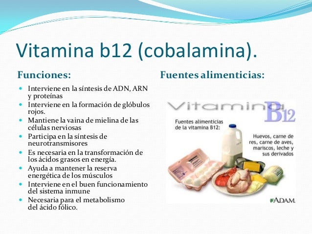 Necesitas un características de la dieta mediterránea ?