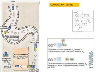 COBALAMINA- VIT B12
 