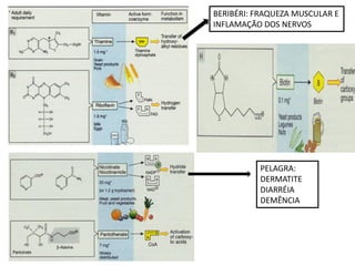 PELAGRA:
DERMATITE
DIARRÉIA
DEMÊNCIA
BERIBÉRI: FRAQUEZA MUSCULAR E
INFLAMAÇÃO DOS NERVOS
 