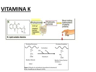 VITAMINA K
 