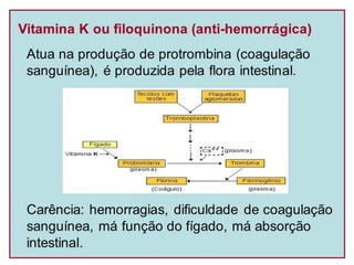 Vitaminas famed 2014.2
