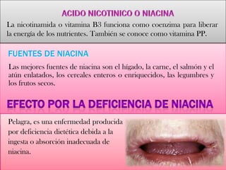 La nicotinamida o vitamina B3 funciona como coenzima para liberar
la energía de los nutrientes. También se conoce como vitamina PP.
Las mejores fuentes de niacina son el hígado, la carne, el salmón y el
atún enlatados, los cereales enteros o enriquecidos, las legumbres y
los frutos secos.
Pelagra, es una enfermedad producida
por deficiencia dietética debida a la
ingesta o absorción inadecuada de
niacina.
FUENTES DE NIACINA
 