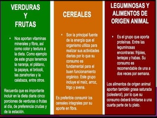 Vitaminas y Minerales v.2