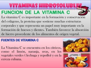 FUNCION DE LA VITAMINA C
La vitamina C es importante en la formación y conservación
del colágeno, la proteína que sostiene muchas estructuras
corporales y que representa un papel muy importante en la
formación de huesos y dientes. También favorece la absorción
de hierro procedente de los alimentos de origen vegetal.
La Vitamina C se encuentra en los cítricos,
como el limón, naranja, uvas, en los
vegetales verdes ( lechuga y repollo) y en la
cereza cubana.
 