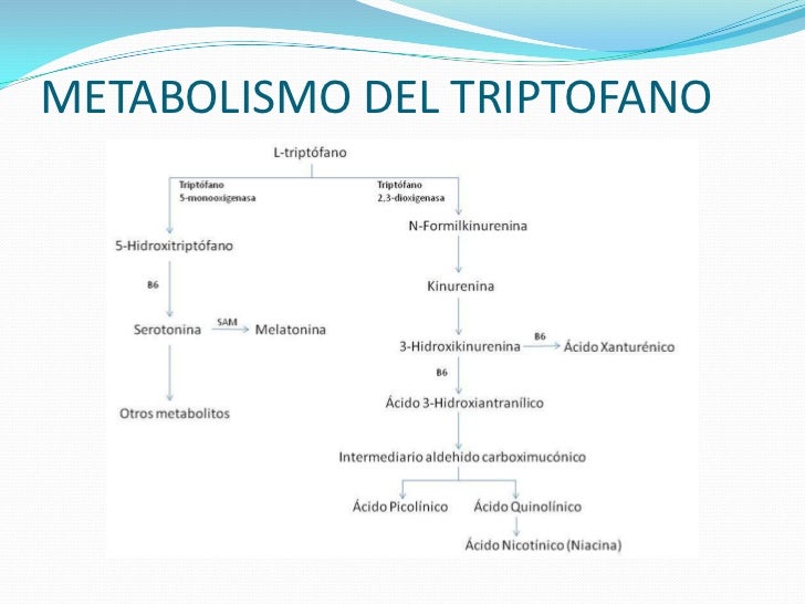 Los mejores consejos para acelerar metabolismo pastillas