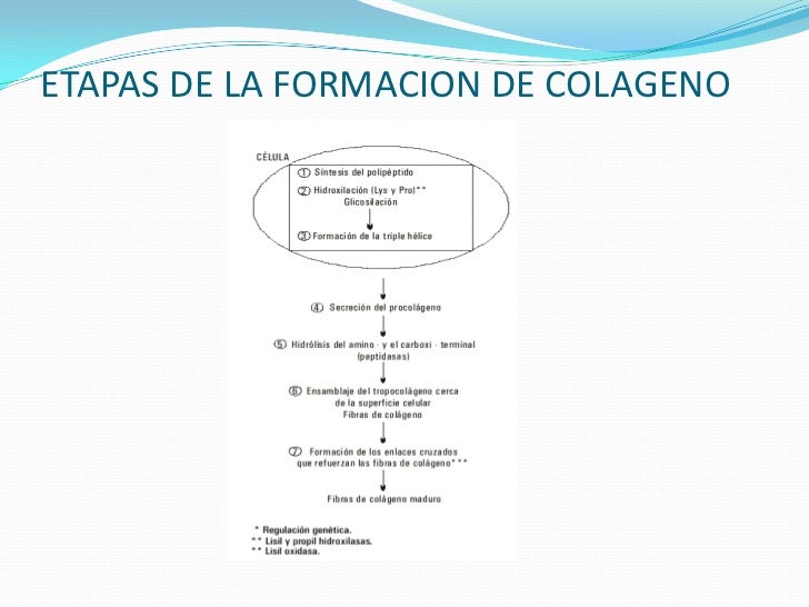 La máscara para los cabellos con la mayonesa por el huevo por la miel y el aceite