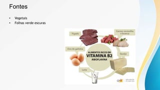 Fontes
• Vegetais
• Folhas verde escuras
 