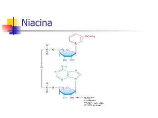 Niacina 
