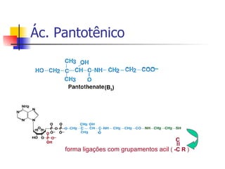 Ác. Pantotênico (B 5 ) forma ligações com grupamentos acil  (  -C R  ) O 