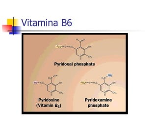 Vitamina B6 