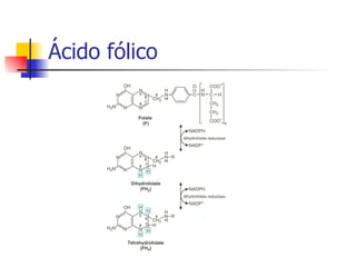 Ácido fólico 