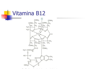 Vitamina B12 