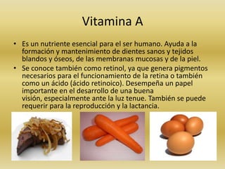 Vitamina A
• Es un nutriente esencial para el ser humano. Ayuda a la
  formación y mantenimiento de dientes sanos y tejidos
  blandos y óseos, de las membranas mucosas y de la piel.
• Se conoce también como retinol, ya que genera pigmentos
  necesarios para el funcionamiento de la retina o también
  como un ácido (ácido retinoico). Desempeña un papel
  importante en el desarrollo de una buena
  visión, especialmente ante la luz tenue. También se puede
  requerir para la reproducción y la lactancia.
 